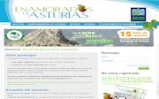 Imagen la web de la promoci�n de Ternera Asturiana en Madrid